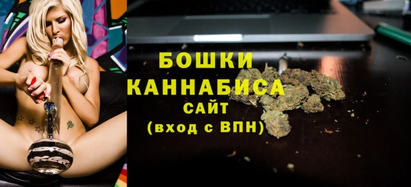 спиды Бородино