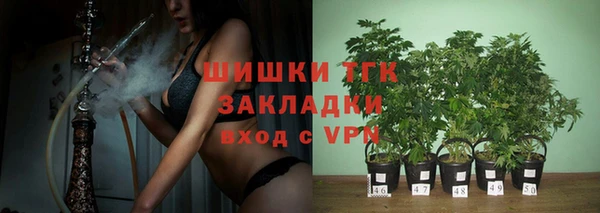 спиды Бородино