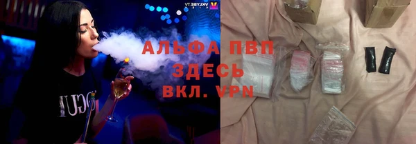 спиды Бородино