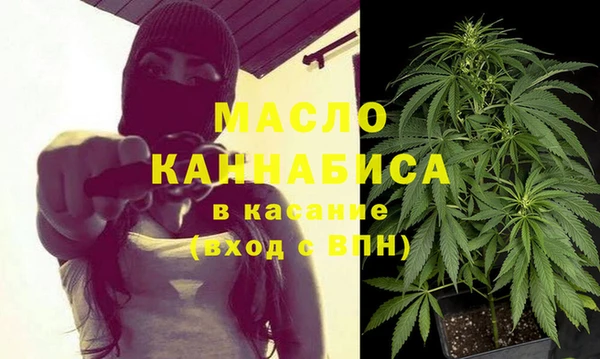 спиды Бородино