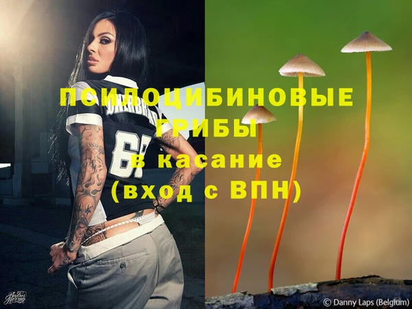 спиды Бородино