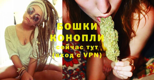 спиды Бородино