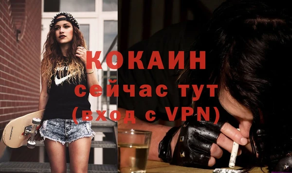 спиды Бородино