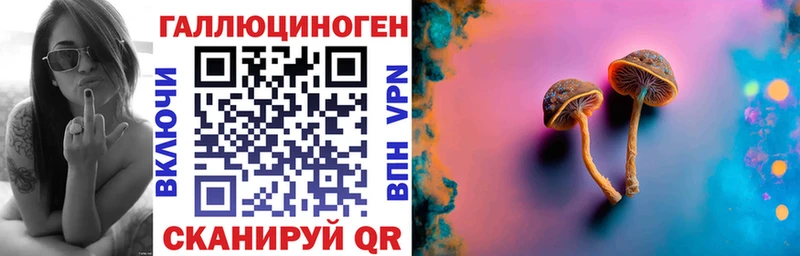 где купить   Сельцо  гидра зеркало  Галлюциногенные грибы мицелий 